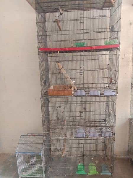 parrot cage 1