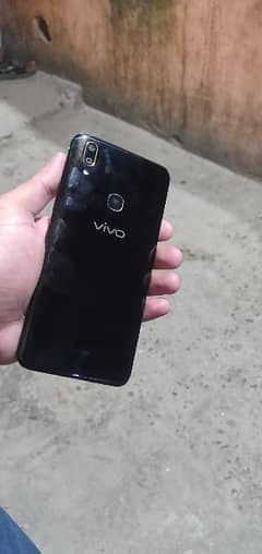 vivo