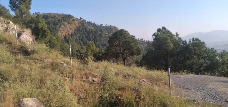 1 Kanal Plot Available For Sale at Abbott Heights Abbottabad 4