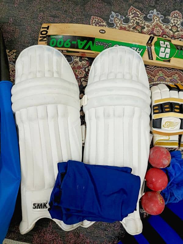 Cricket kit 2