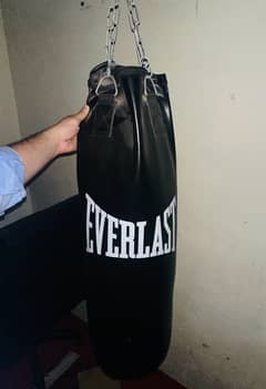 punching / Boxing  bag brand new with gloves