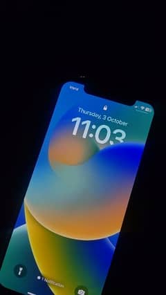 iPhone x official Pta approved