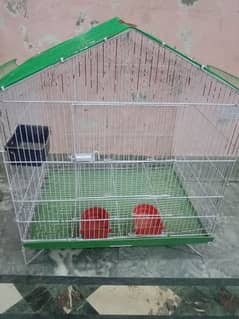 big parrot cage