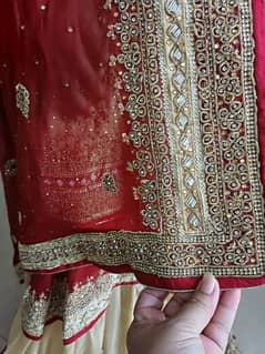 sharara suit