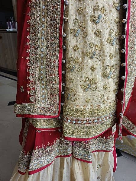 sharara suit 3