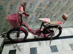 Ladies Cycle Pink Colour 0