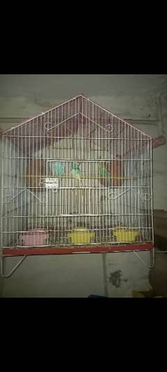 Cages for birds urgent sale 0