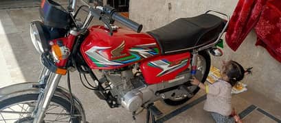 Honda 125 red 2023 model