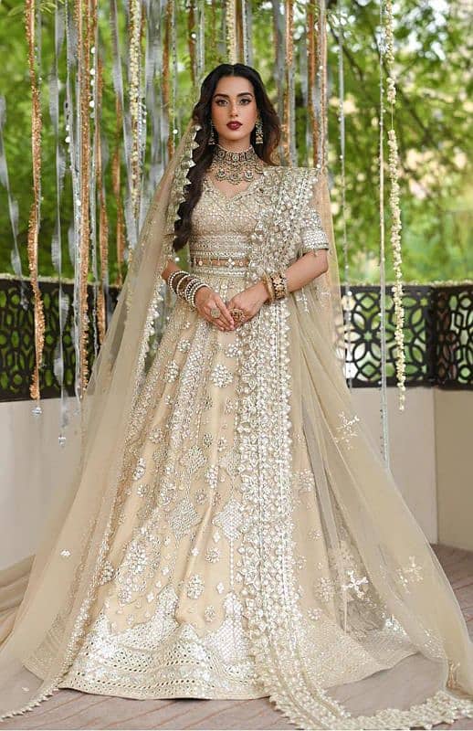 Women's Festive and Brides Suit 3