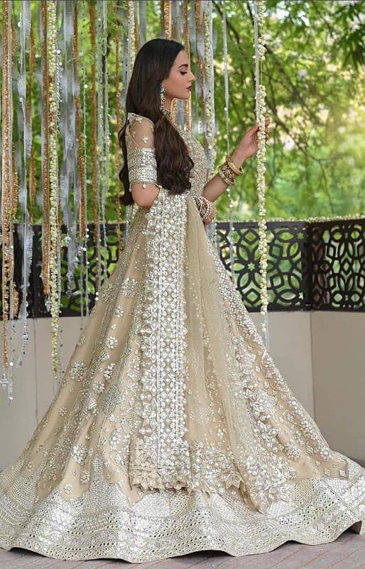 Women's Festive and Brides Suit 4