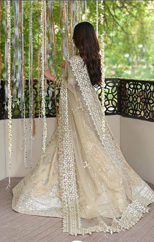 Women's Festive and Brides Suit 5