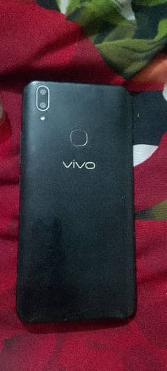 vivo