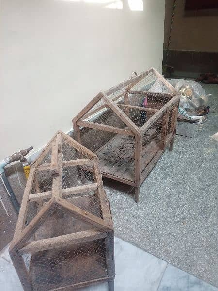 2 hens Cage's for sell 3