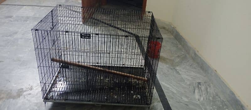 Raw Parrot Cage available for sale series Byer contact 1