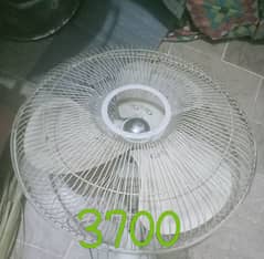 fan