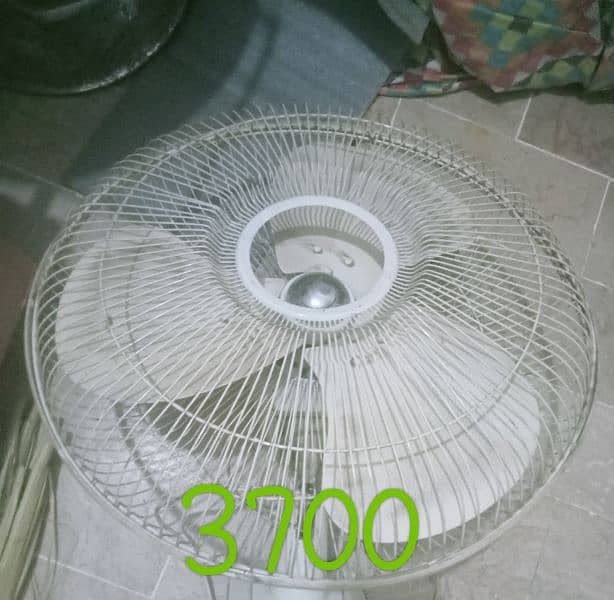 fan okay hai 0