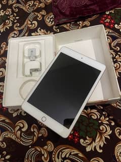 i pad mini 5 256gb