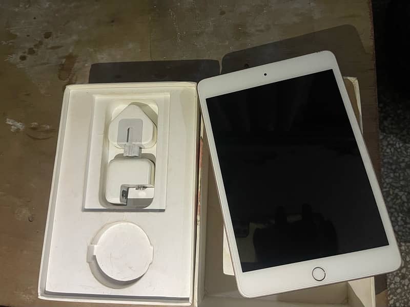 i pad mini 5 256gb 1