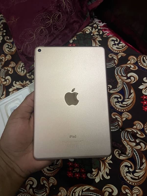 i pad mini 5 256gb 4