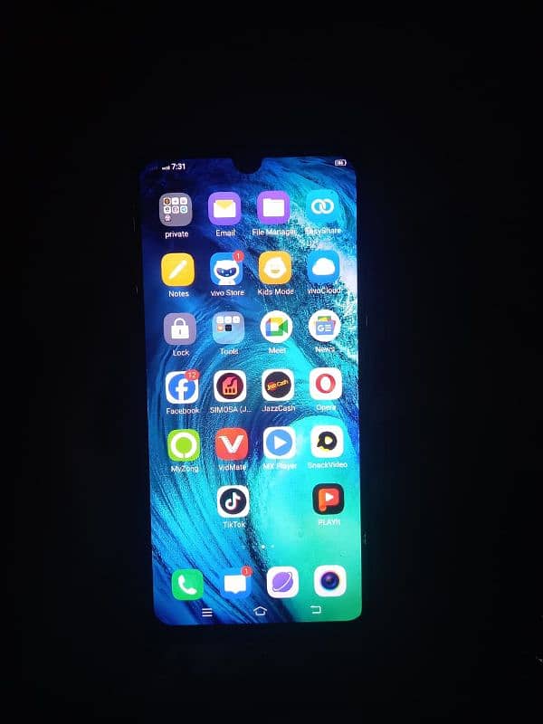 vivo s1 1