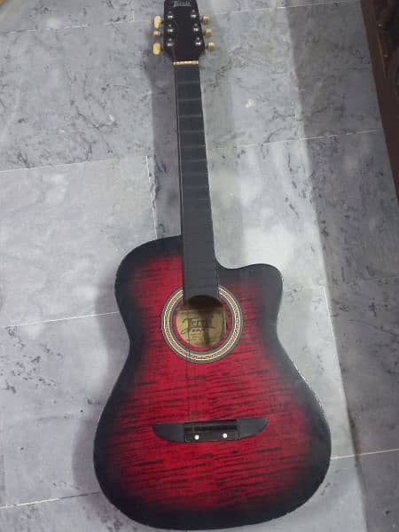 jervis guitar 2