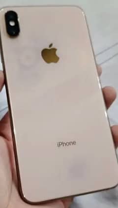 Xs Max 256 Gb