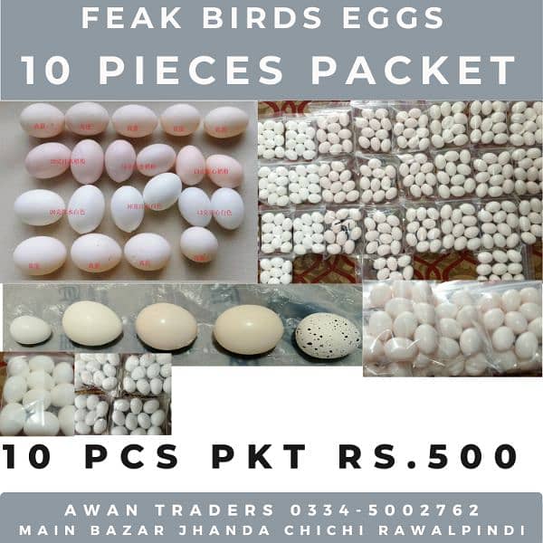 Poultry Accessories Feeders, Hen Glasses, Plucker, much more 10