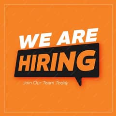 web developer