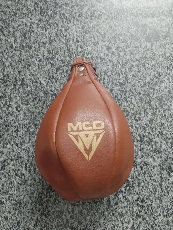 Boxing Speed Bag 3