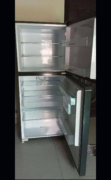 Hair inverter Fridge 1