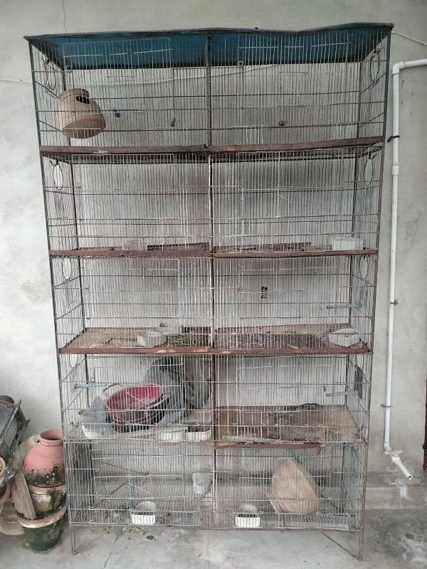 10 portion cage avaliable for sale 0