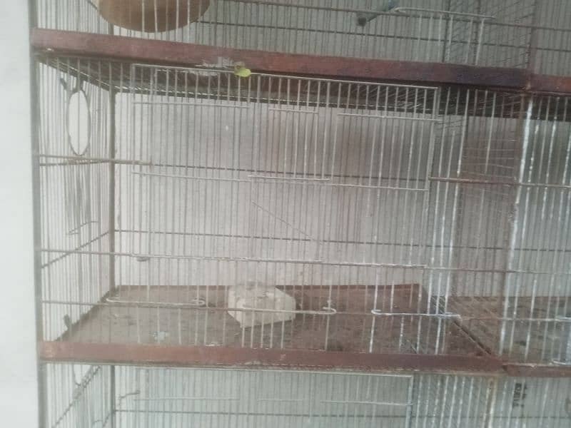 10 portion cage avaliable for sale 1