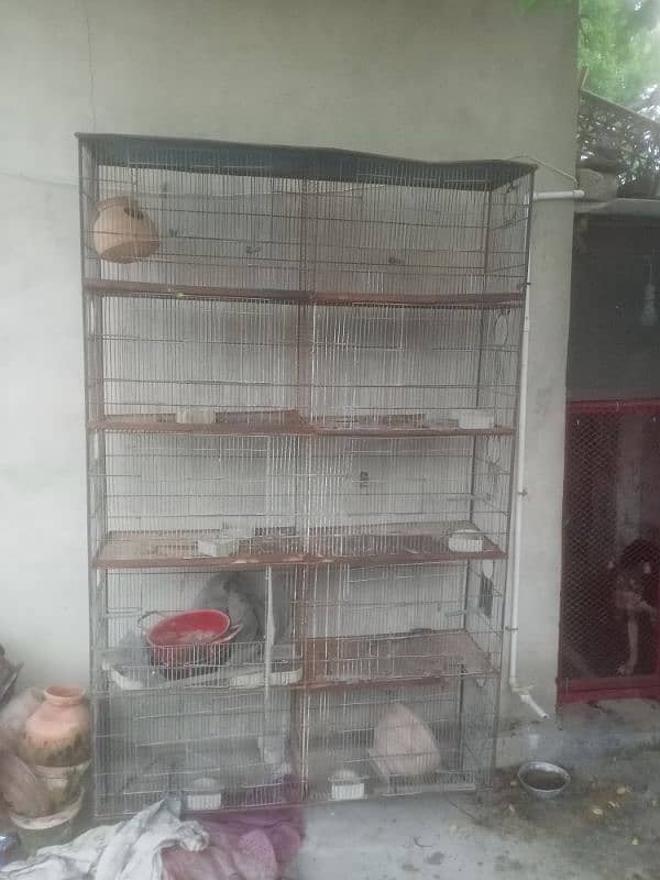 10 portion cage avaliable for sale 2