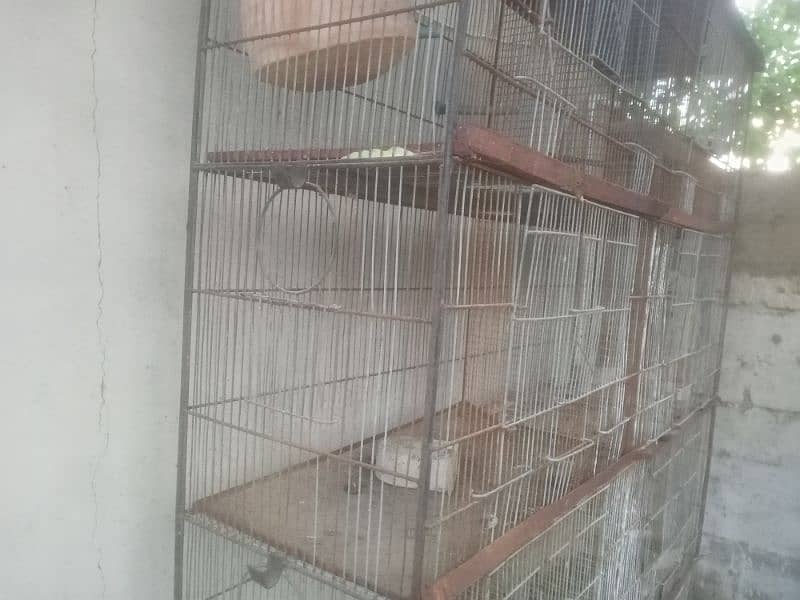 10 portion cage avaliable for sale 3