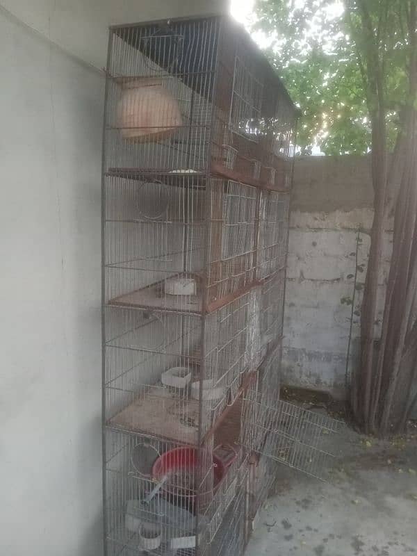 10 portion cage avaliable for sale 4