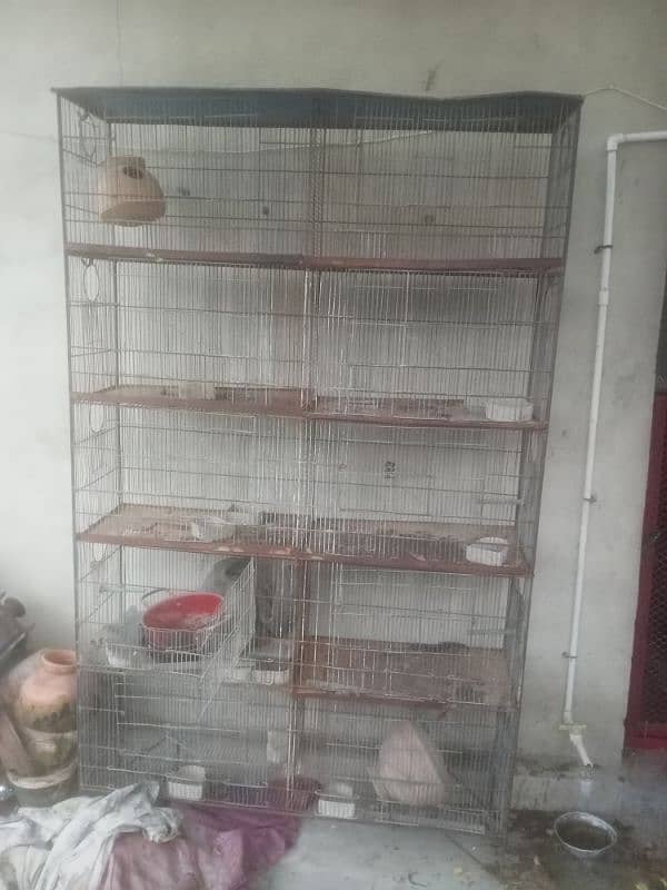 10 portion cage avaliable for sale 6