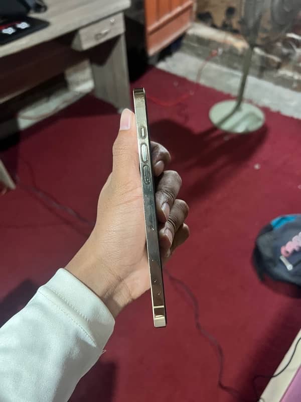 Iphone 12 pro max 256gb non pta 2