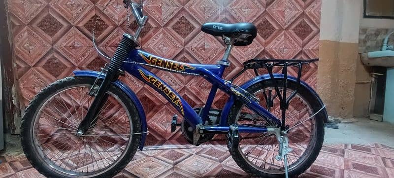 19 inch bicycle in best condition 2