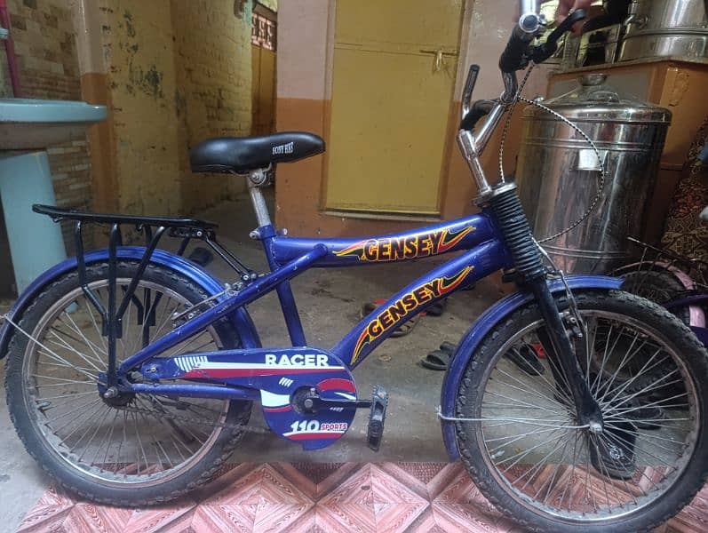 19 inch bicycle in best condition 3