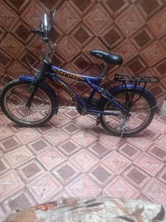 19 inch bicycle in best condition 0