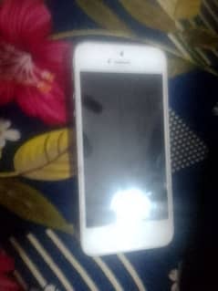 I phone 5 all ok non pta hai jiss bhai na lana wo contact kary