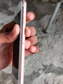 iphone8 non pta jv 64gb 03154919977