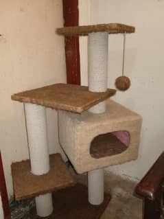 cat house