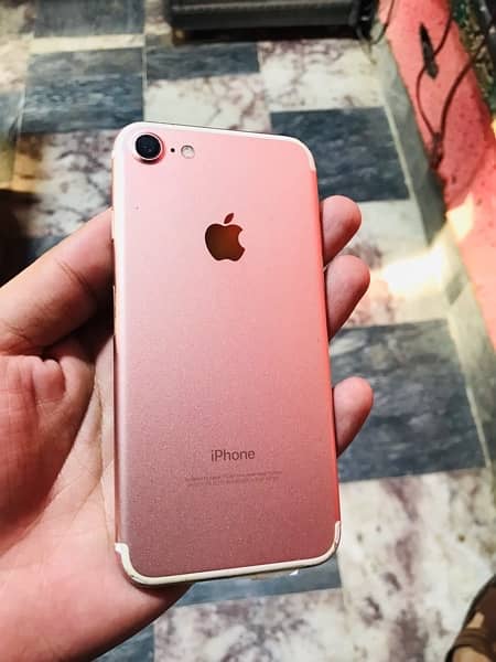 iphone 7 256gb pta approved 5