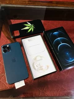 iphone 12 pro 128gb PTA Approved