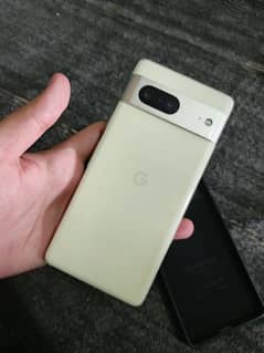 google pixel 7