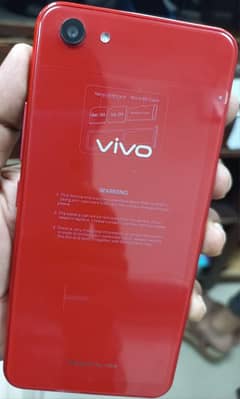 vivo