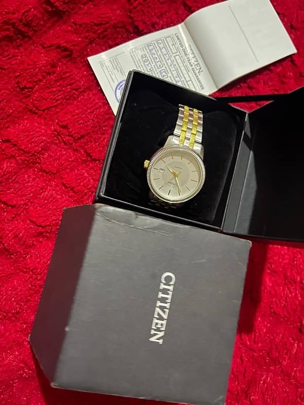 orginal Citizen Watch 1