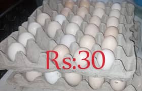 eggs for sale