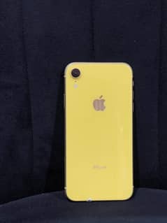 "iPhone XR Sale: Unmatched Value, Limited Stock!"